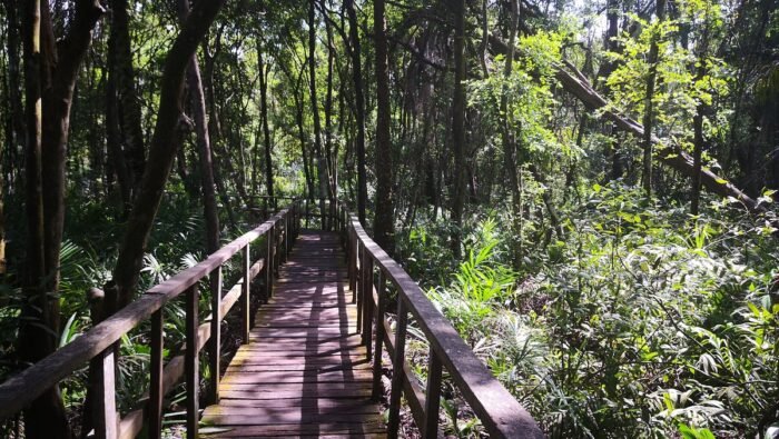 Lekki Conservation Center